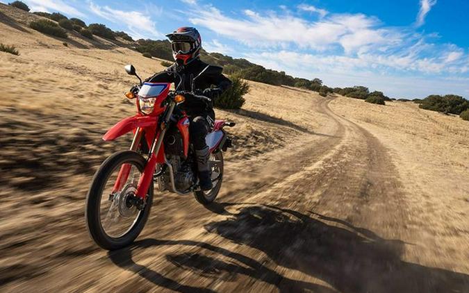 2024 Honda CRF 300L Rally