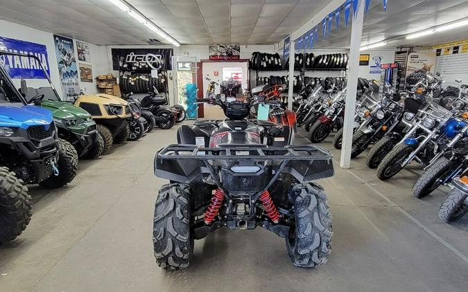 2019 Yamaha Grizzly EPS SE