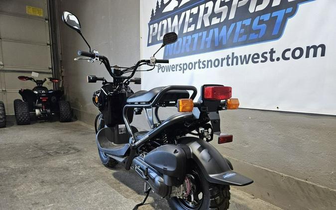 2024 Honda Ruckus