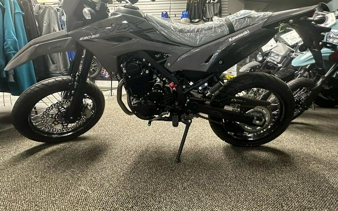2024 Kawasaki KLX® 230 SM ABS
