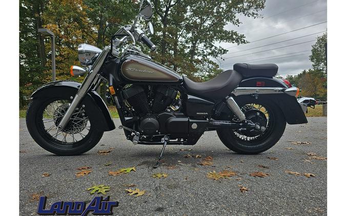 2024 Honda Shadow Aero First Look [Fast Facts]