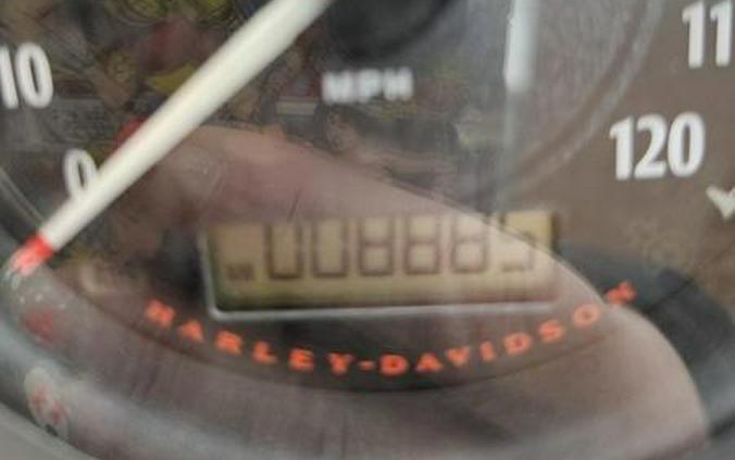 2022 Harley-Davidson® XL883N - Iron 883™