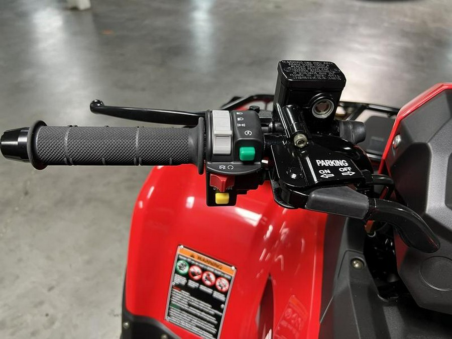 2026 Kawasaki Brute Force® 300