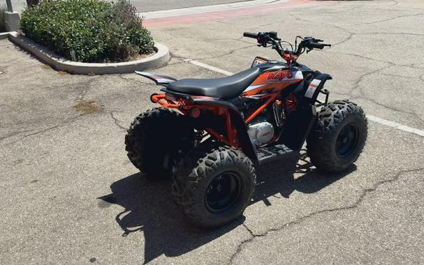 2021 Kayo Predator 125