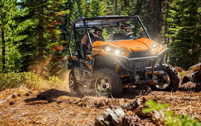 2019 Kawasaki Teryx LE Camo
