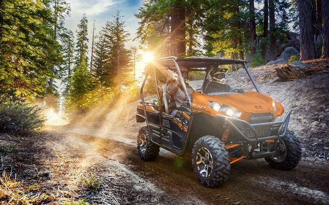 2019 Kawasaki Teryx LE Camo