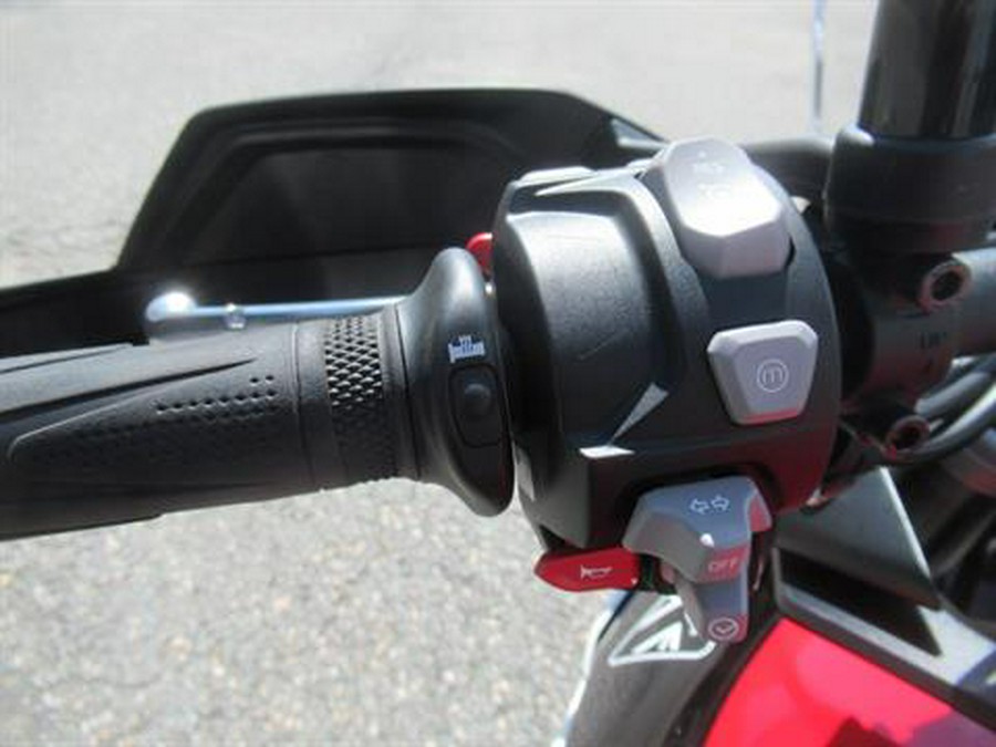 2024 Triumph Tiger 900 GT Aragón Edition