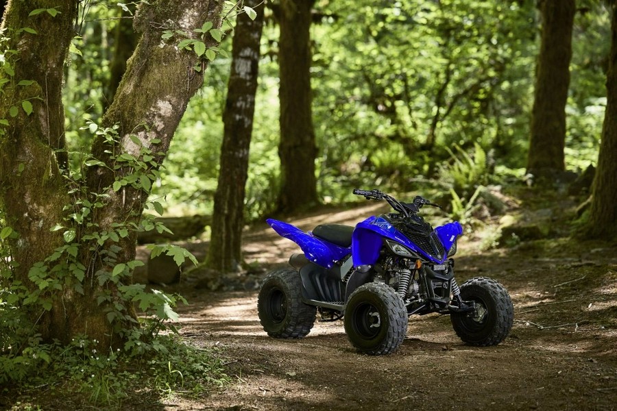 2027 Yamaha Raptor 110