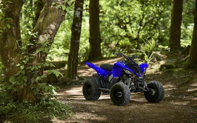 2027 Yamaha Raptor 110