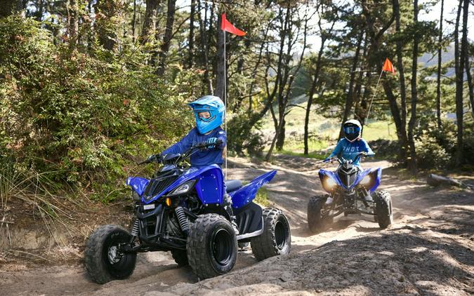 2027 Yamaha Raptor 110