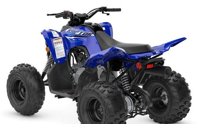 2027 Yamaha Raptor 110