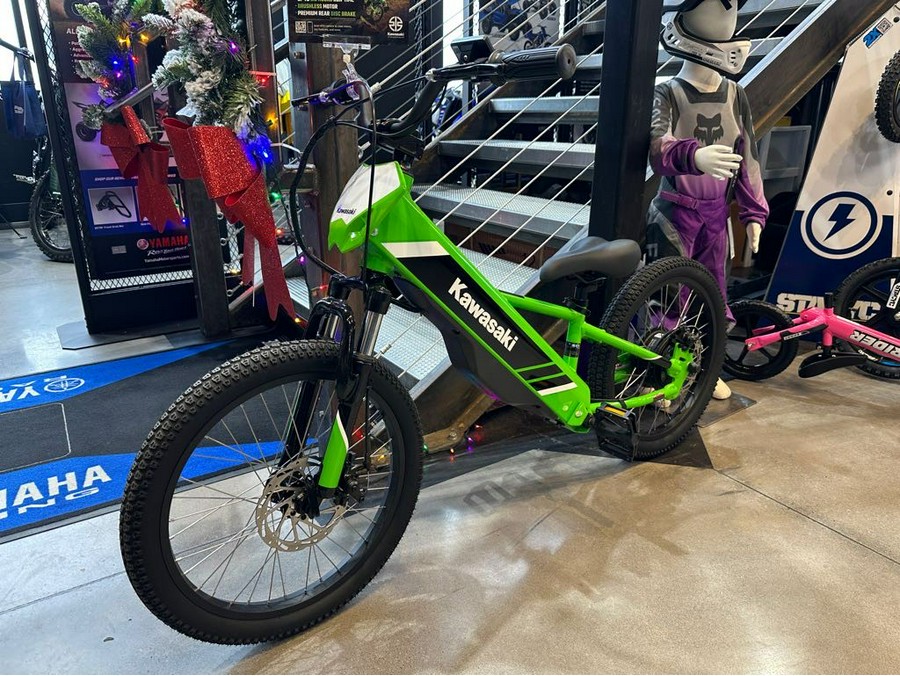 2025 Kawasaki Elektrode™ 20