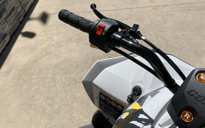 2026 Can-Am® Renegade 110 EFI