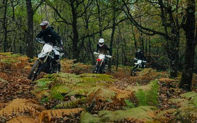 2025 Stark VARG EX Alpha 80 hp