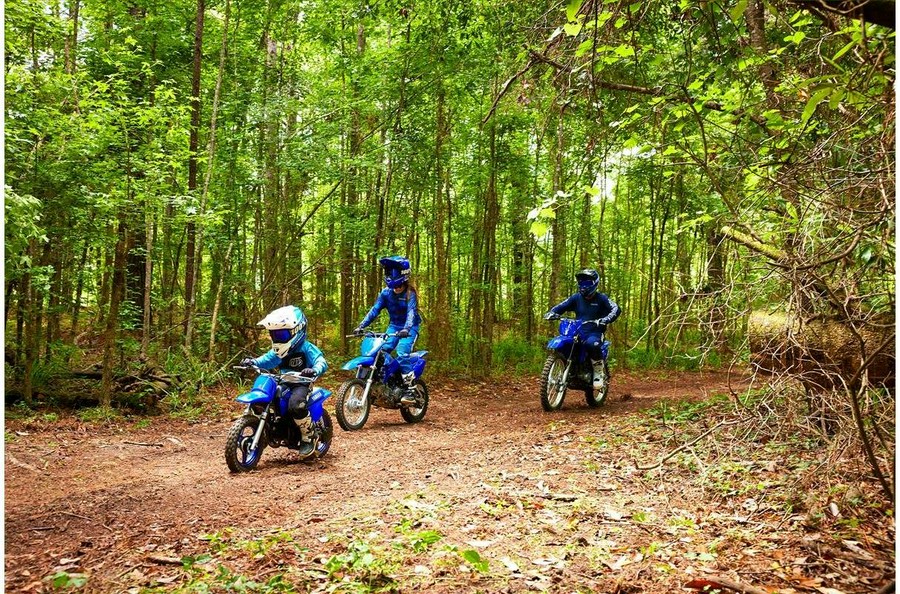 2024 Yamaha PW50 TEAM YAMAHA BLUE