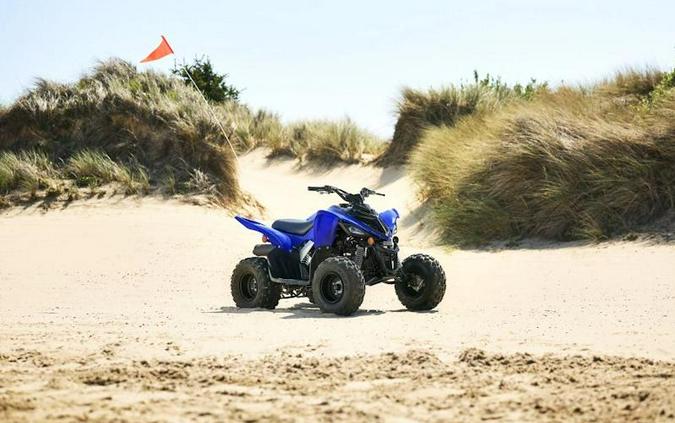 2025 Yamaha Raptor 110