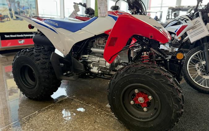 2026 Honda TRX250X
