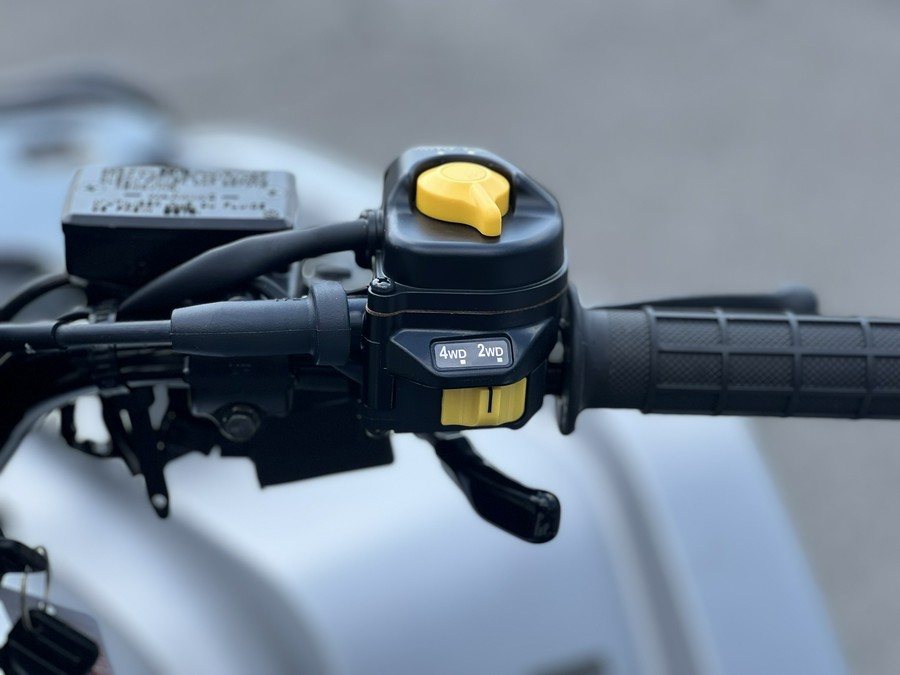 2026 Honda FourTrax Rubicon 700 4x4 Automatic