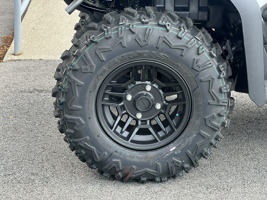 2026 Honda FourTrax Rubicon 700 4x4 Automatic