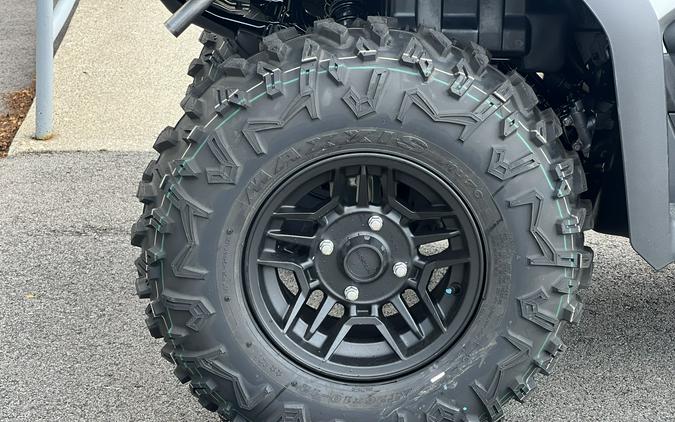 2026 Honda FourTrax Rubicon 700 4x4 Automatic