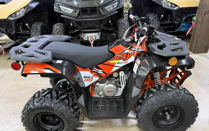 2026 Kayo PREDATOR 110