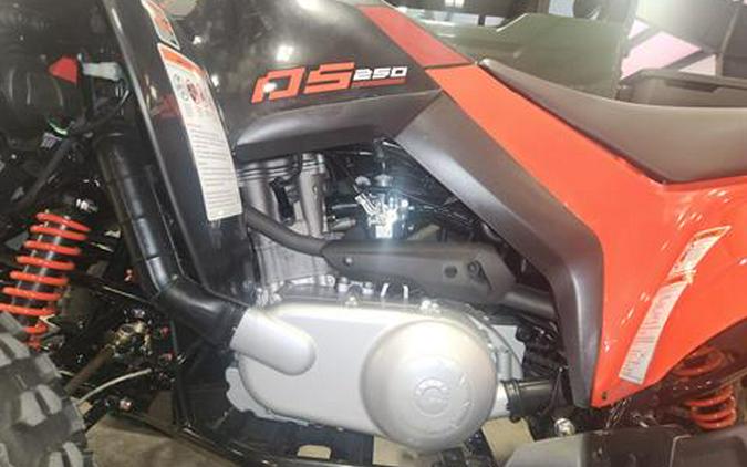 2024 Can-Am DS 250