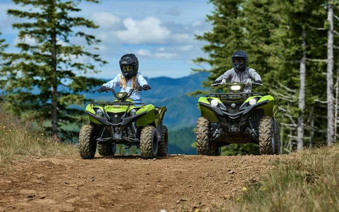 2027 Yamaha Grizzly 110