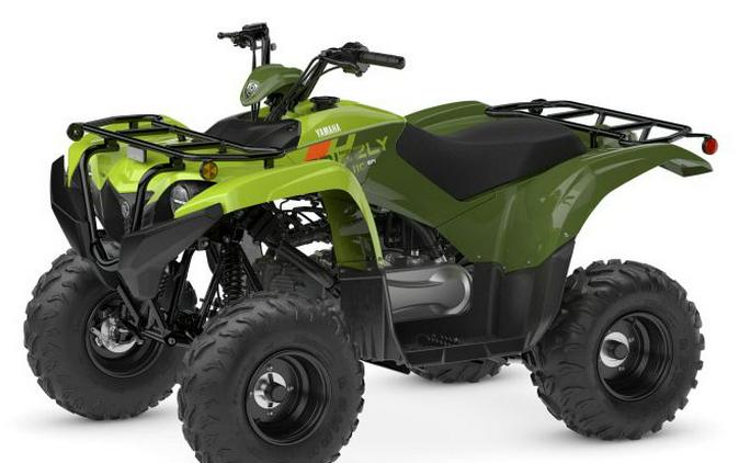 2027 Yamaha Grizzly 110