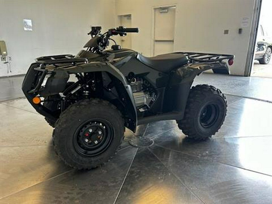 2024 Honda FourTrax Recon