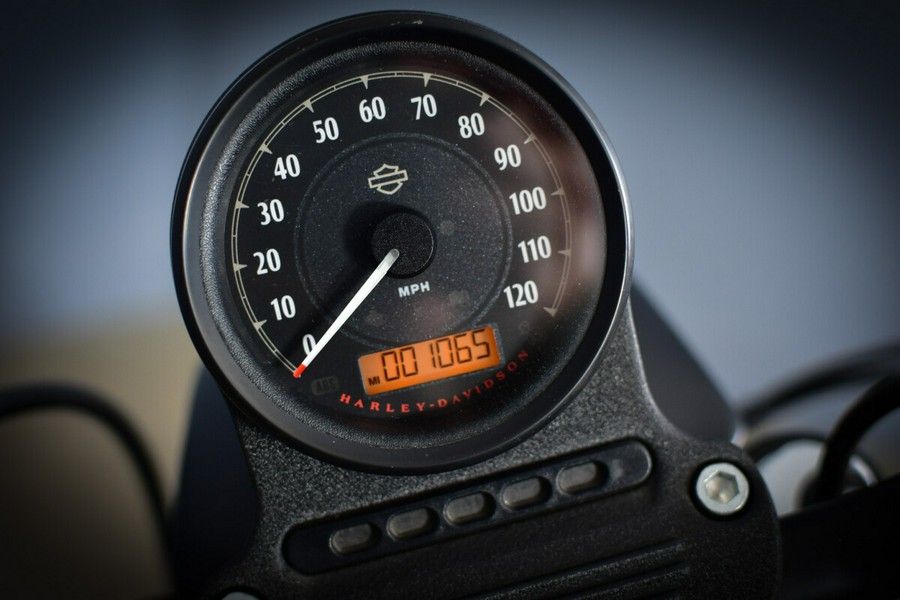 2022 Harley-Davidson Iron 883