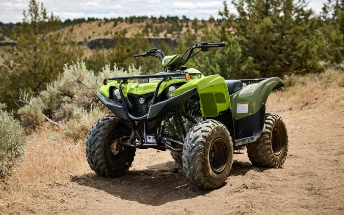 2027 Yamaha Grizzly 110