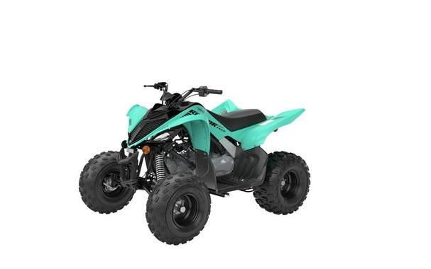 2024 Yamaha Raptor 110 - Green Sticker Registration!