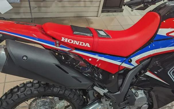 New 2024 HONDA CRF 300L ABS