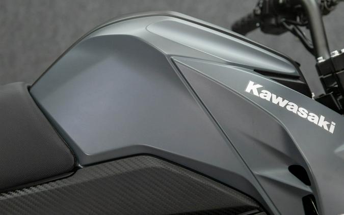 2024 KAWASAKI BR125 Z125 PRO