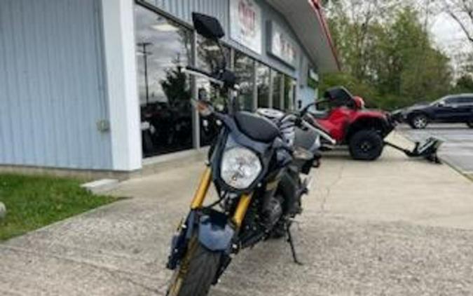 2023 Kawasaki Z125 PRO