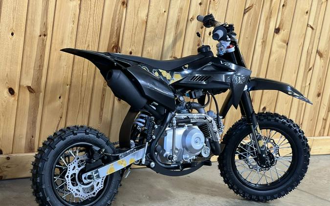 2026 BLP Motor Inc BLP110-V2