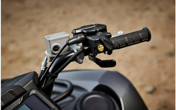 2022 Yamaha Grizzly EPS XT-R