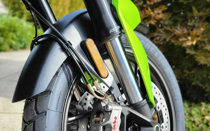 2025 Triumph TIGER 850 SPORT