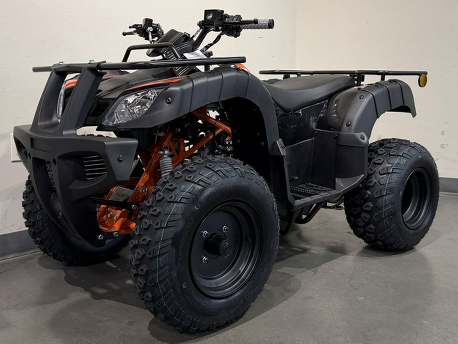 2026 Kayo Bull 150 EFI