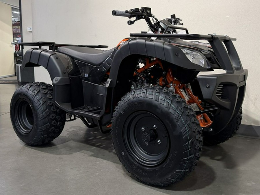 2026 Kayo Bull 150 EFI