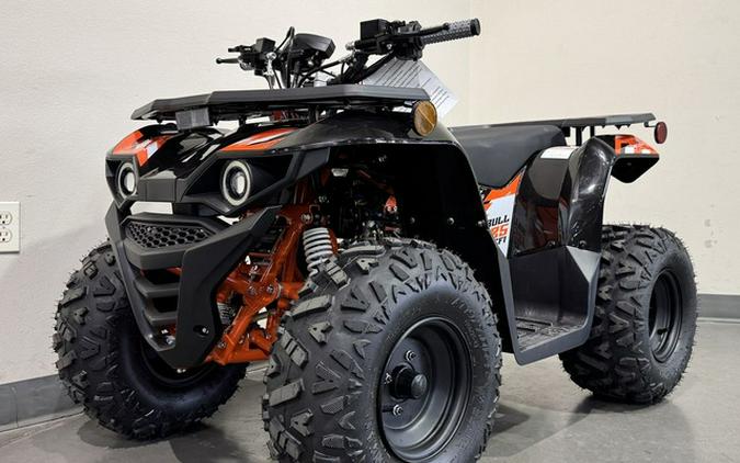 2026 Kayo Bull 125 EFI