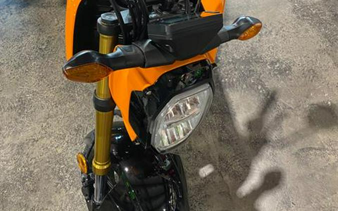 2024 Honda Grom