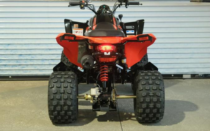 2026 Can-Am DS 250