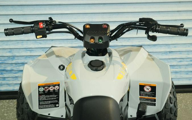 2026 Can-Am Renegade 110 EFI