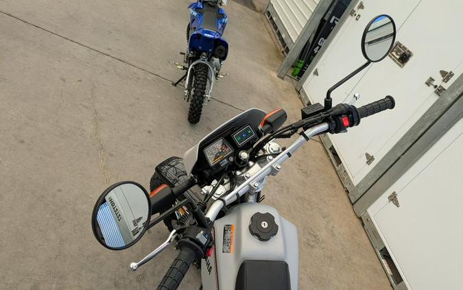 2027 Yamaha TW200