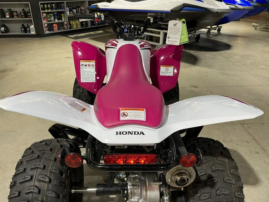 2023 Honda® TRX250X