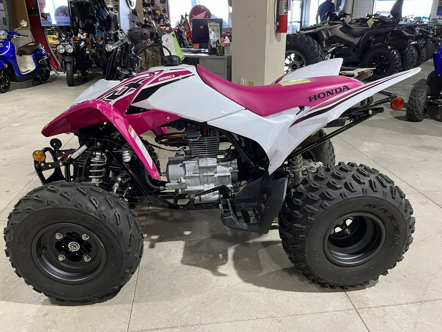 2023 Honda® TRX250X