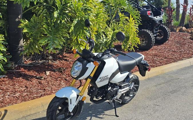 2025 Honda Grom ABS