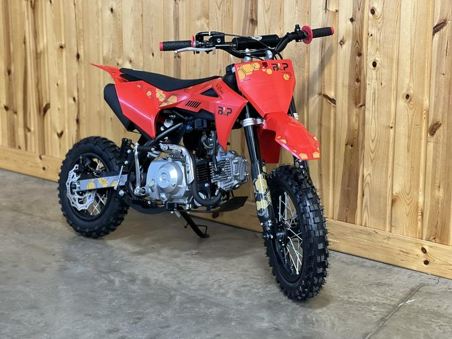 2026 BLP Motor Inc BLP110-V2