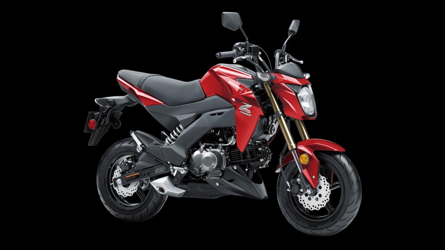 2018 Kawasaki Z125 PRO